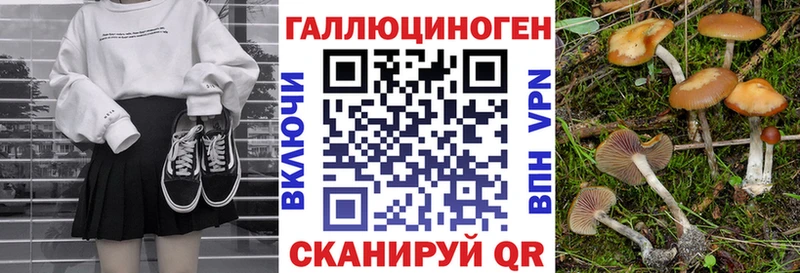 Галлюциногенные грибы Psilocybe Тырныауз
