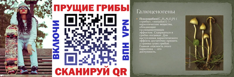 Галлюциногенные грибы ЛСД  ссылка на мегу   Тырныауз 